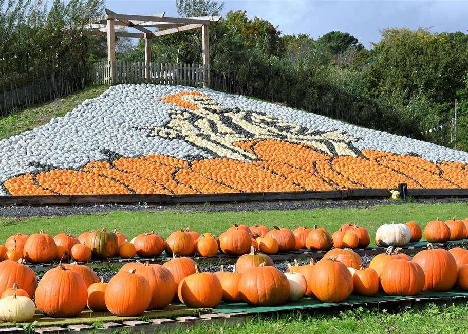 This Farm's Latest Pumpkin Creation Will Make You Say Beetlejuice Three Times