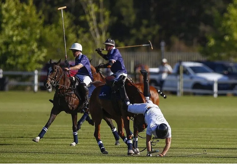 11. Prince Harry's Double Fall during a Polo Match in South Africa.jpg?format=webp