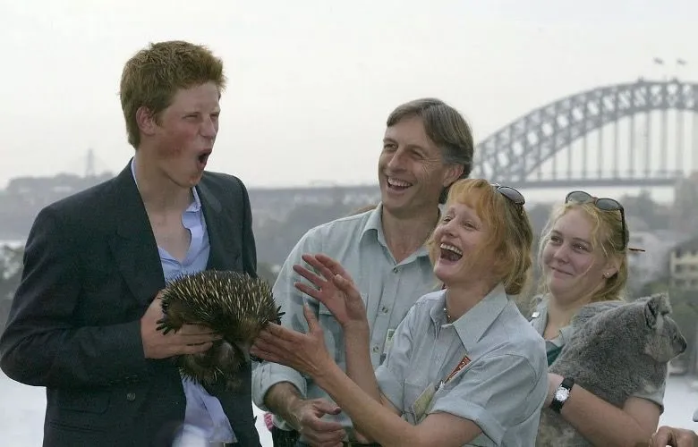 15. Echidna Made Prince Harry's Day.jpg?format=webp