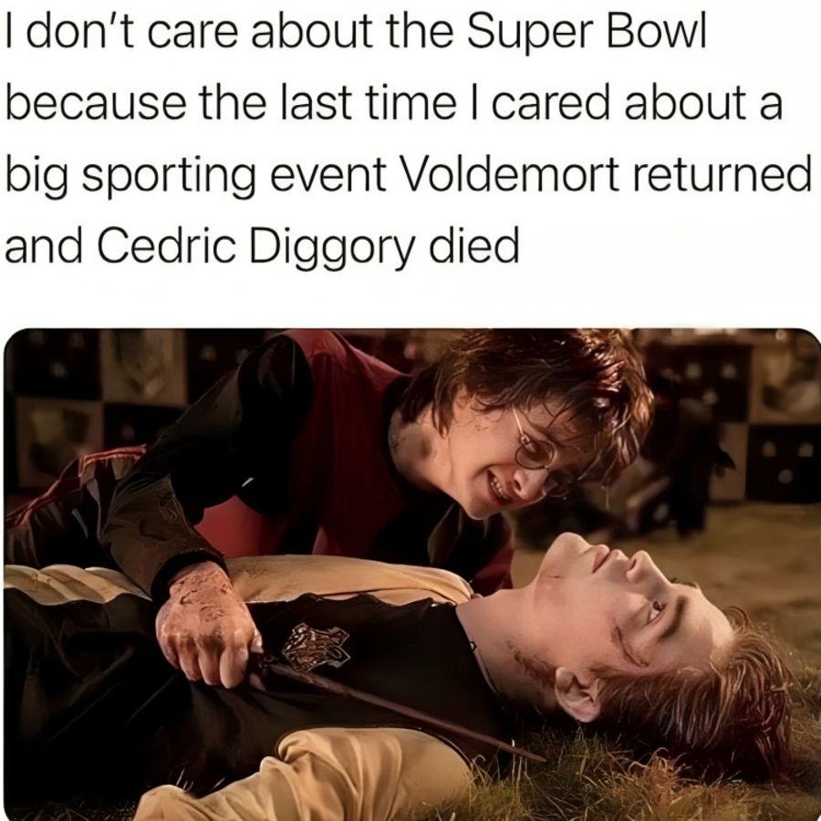 17 (2).jpg?format=webp