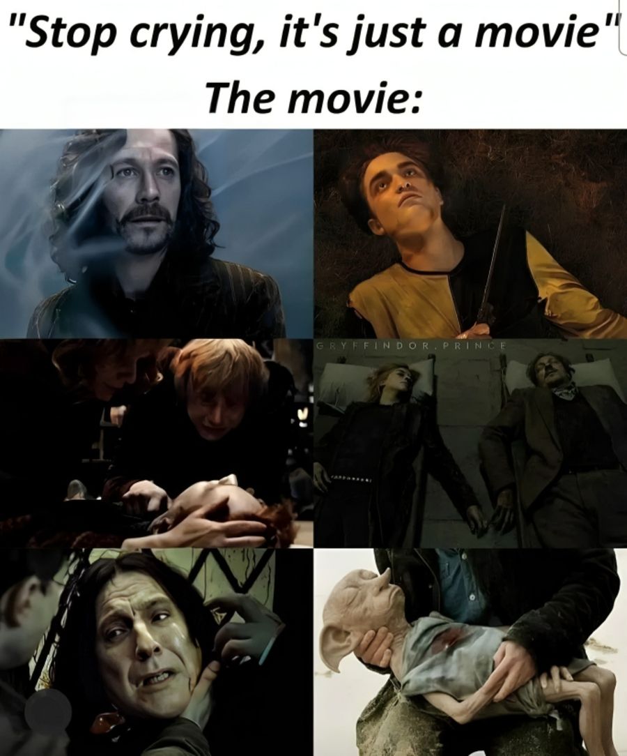 23 (1).jpg?format=webp