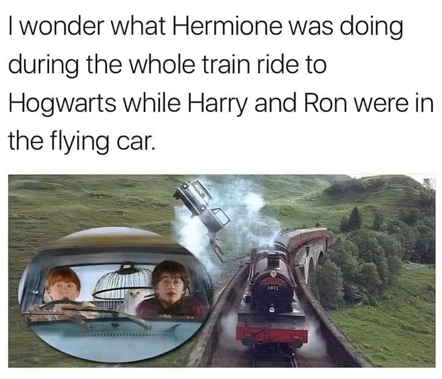 24 (1).jpg?format=webp