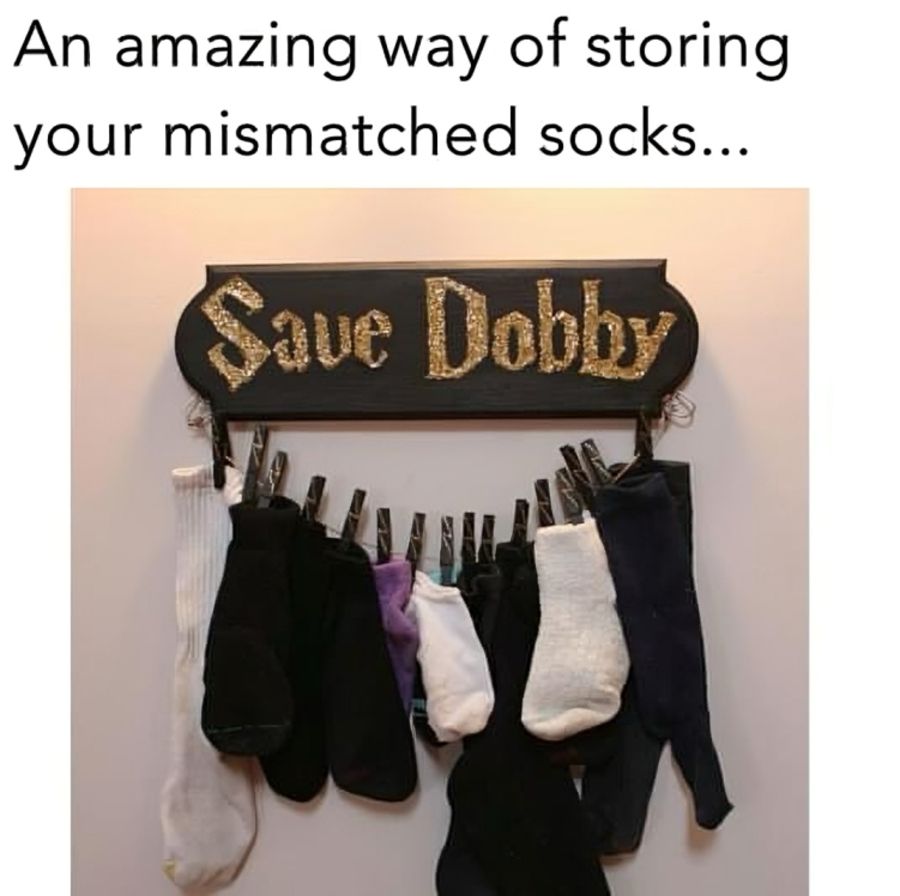 31 (2).jpg?format=webp