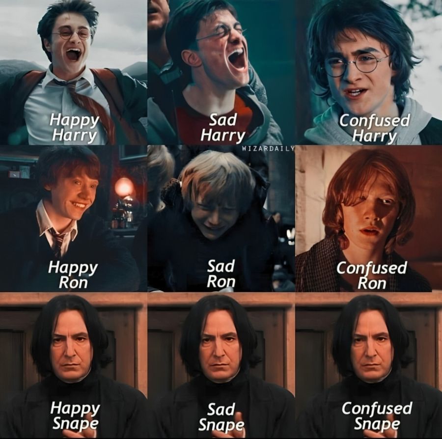 32 (1).jpg?format=webp