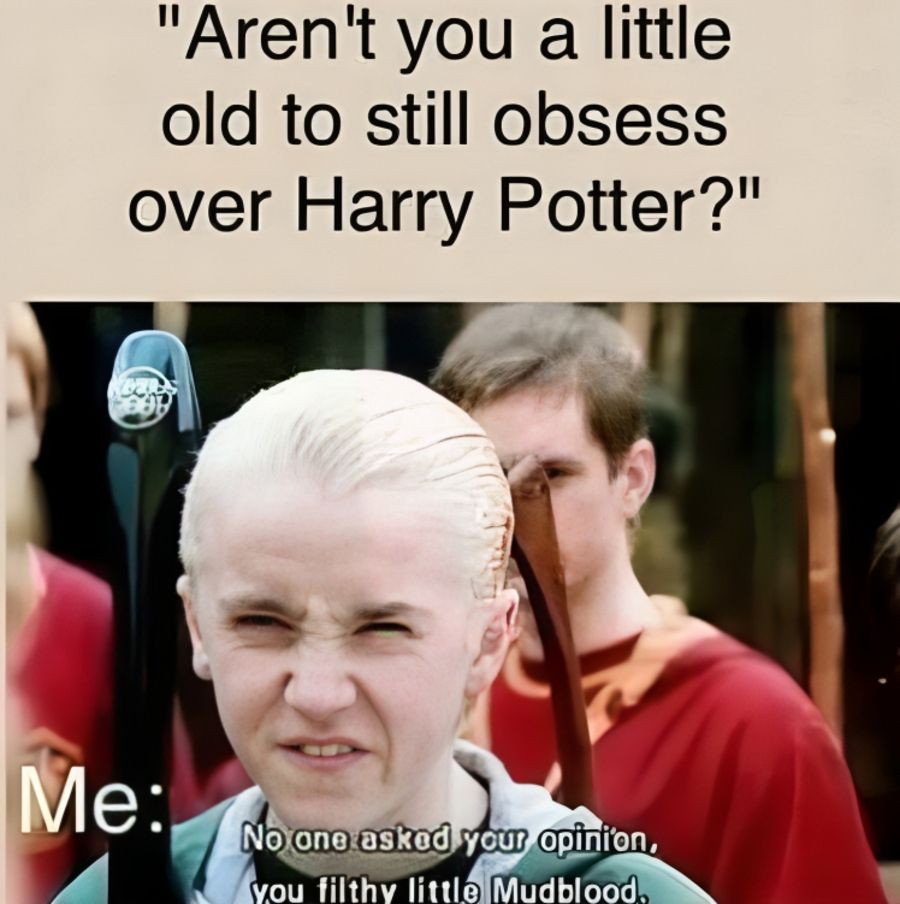 35 (1).jpg?format=webp