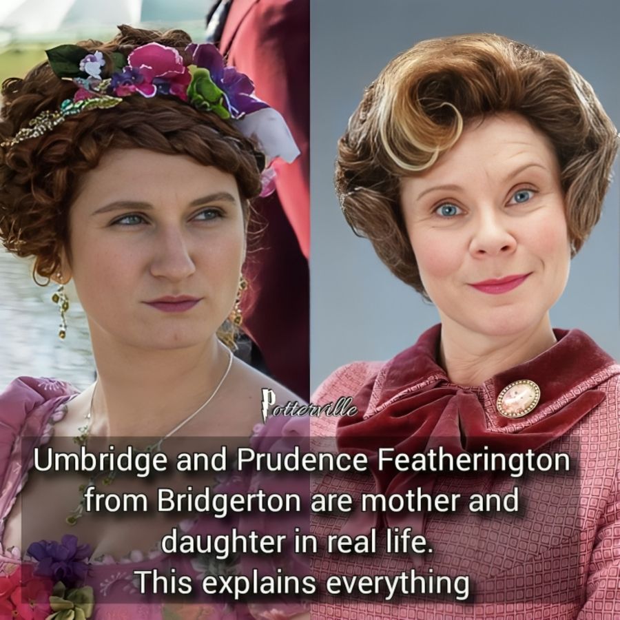 40 (1).jpg?format=webp