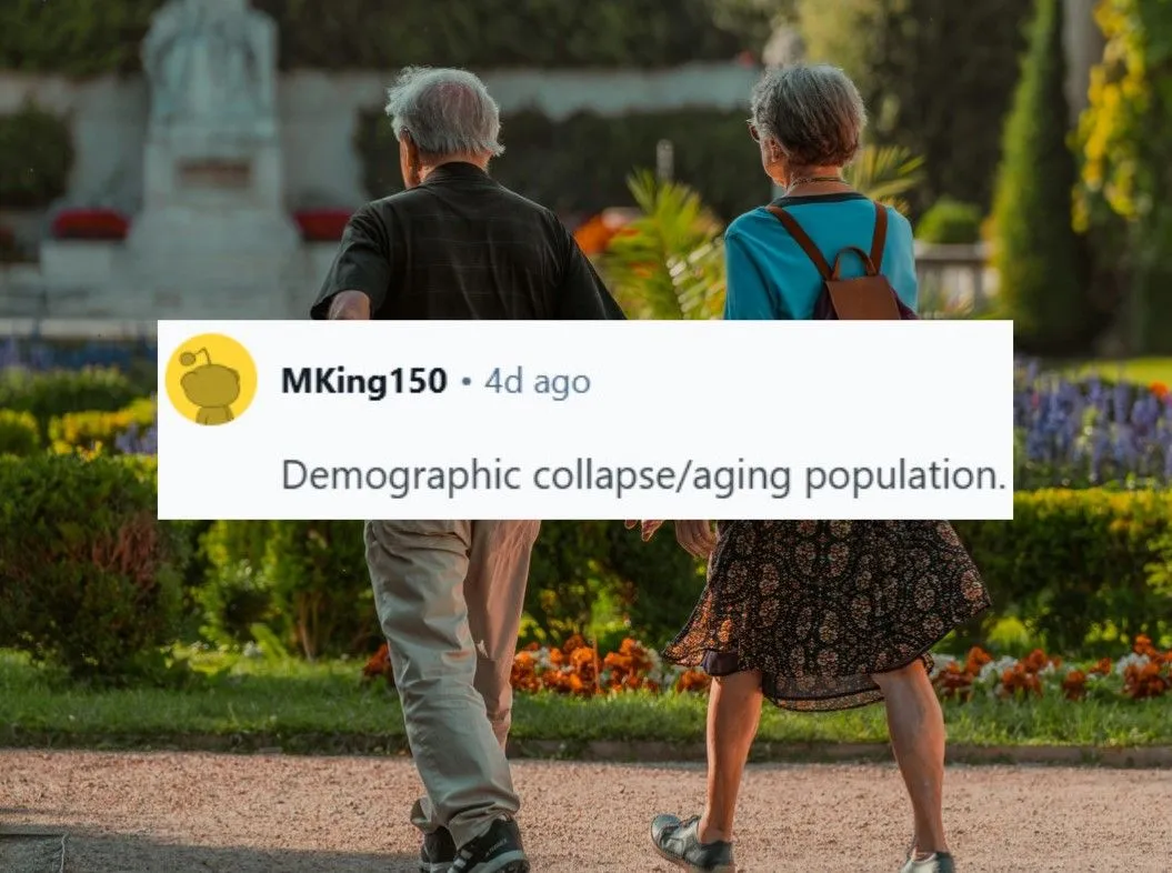 41.jpg?format=webp