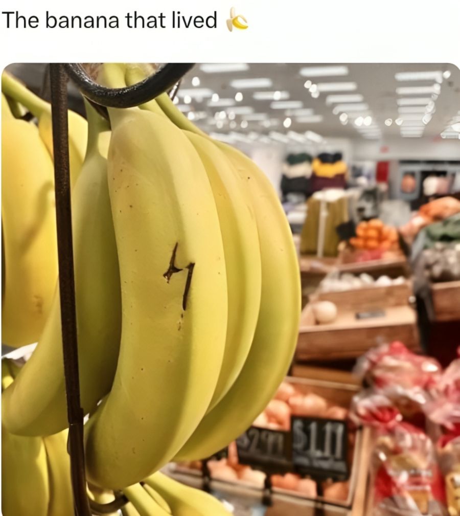 42 (1).jpg?format=webp