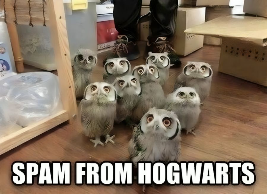 48 (1).jpg?format=webp