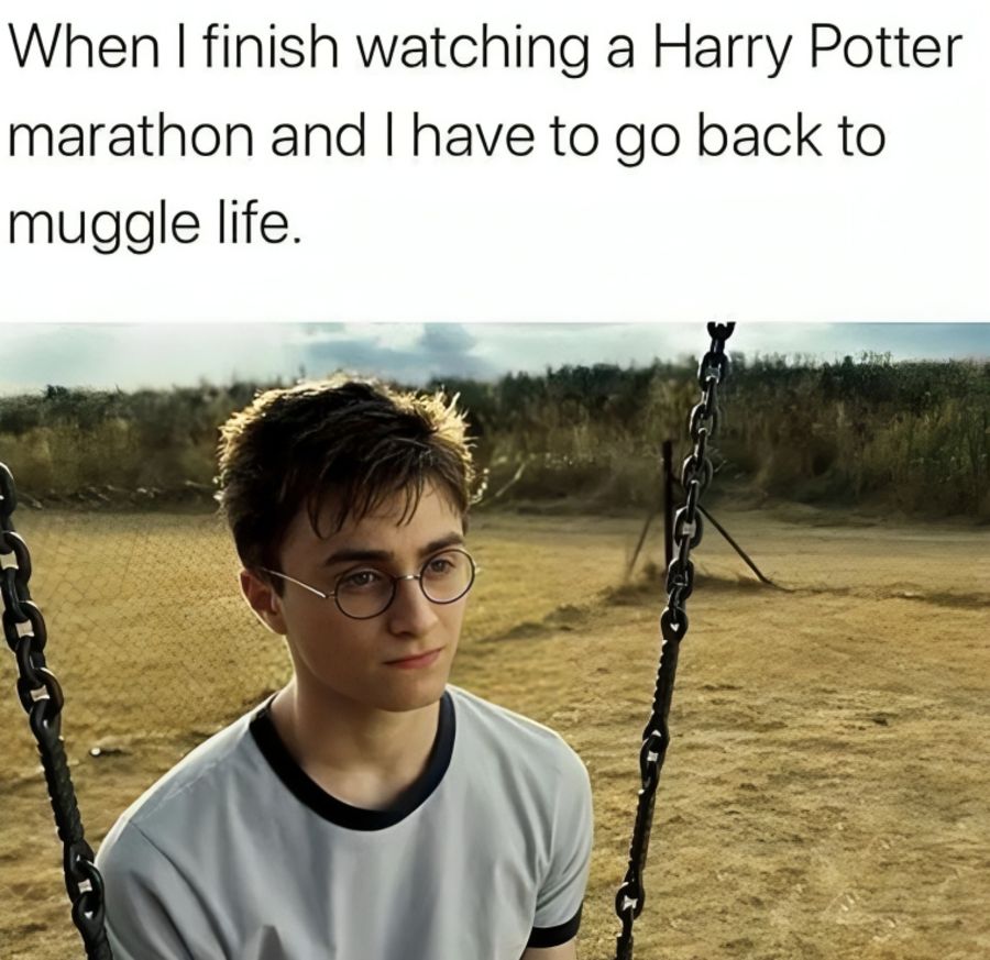 8 (5).jpg?format=webp